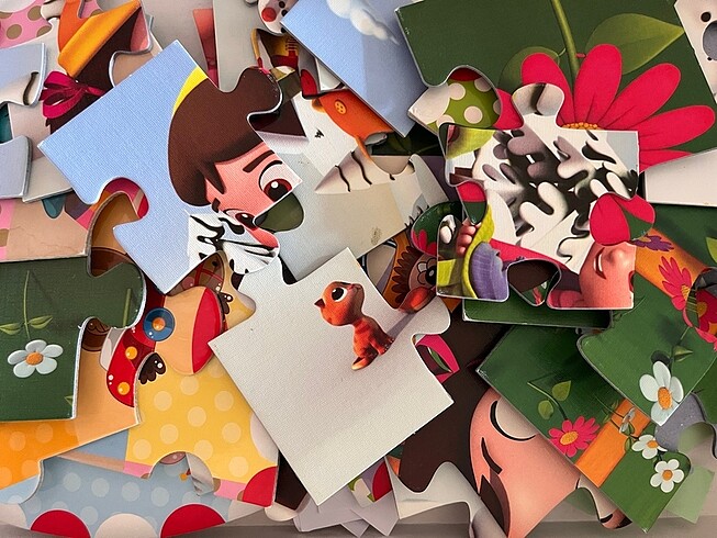 Niloya puzzle
