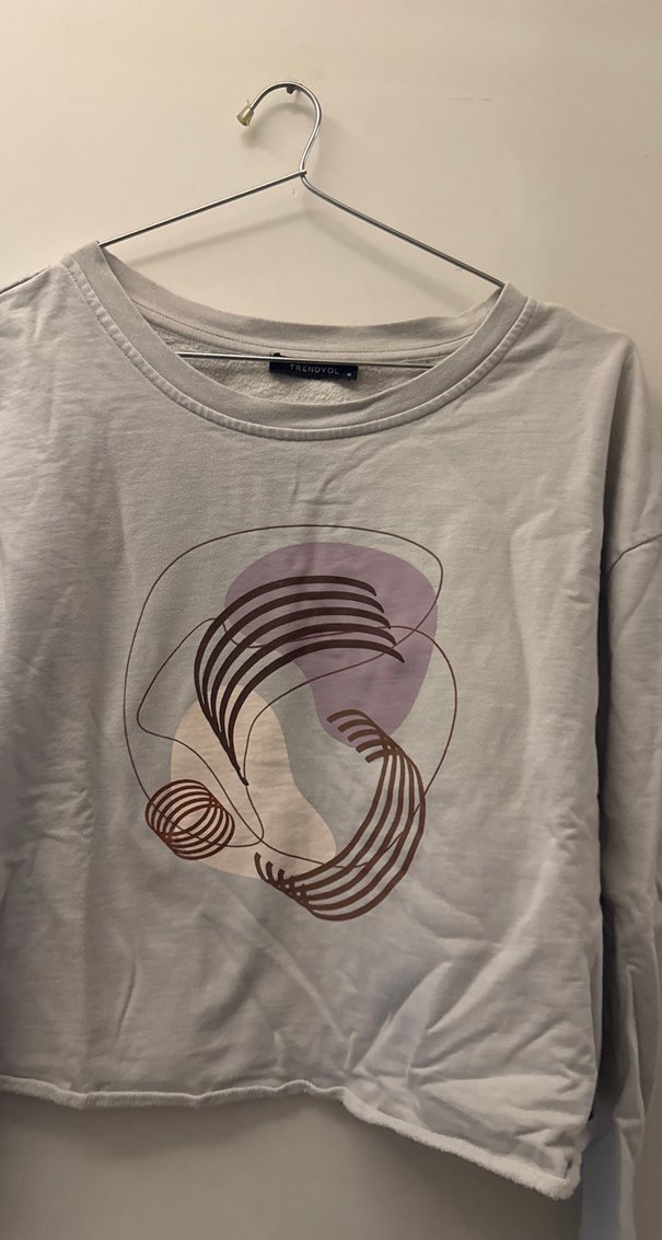 Gri Kadın Uzun Kollu Baskılı Sweatshirt - Görsel 2