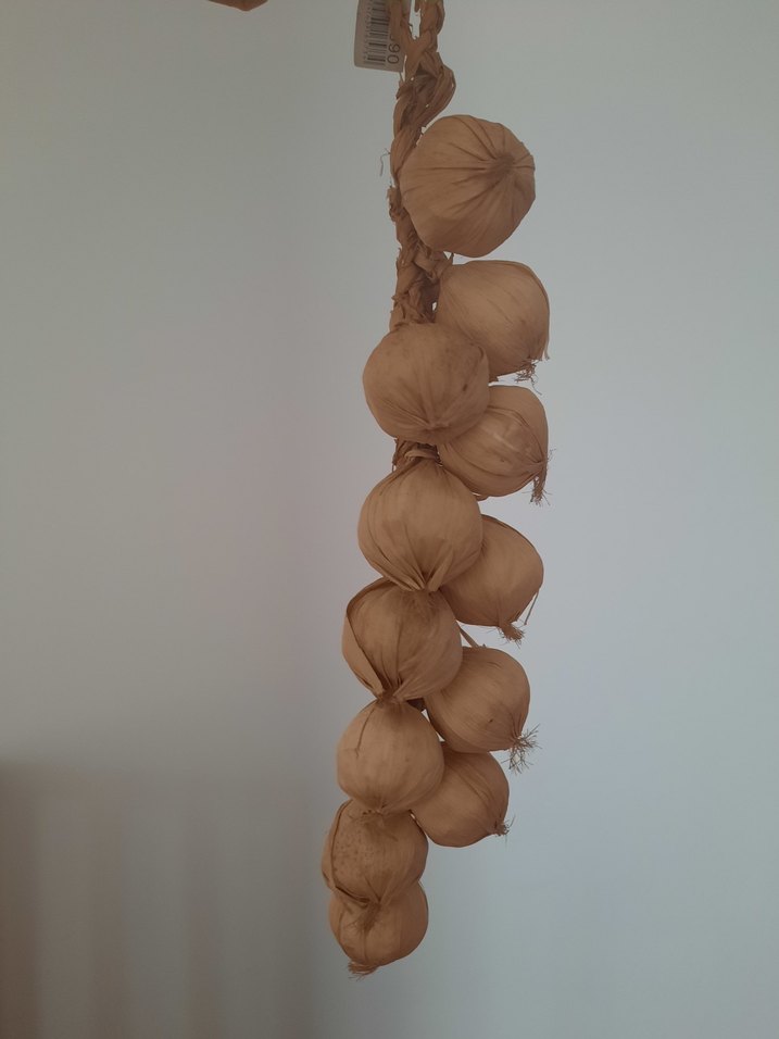 süs sarımsak - Görsel 2