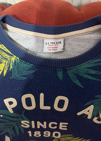 Erkek Çocuk Mavi Baskılı Sweatshirt - Görsel 2