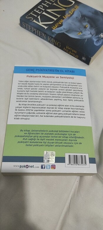 prof dr ismet kırkpınar - Genç Psikiyatristin el Kitabı
