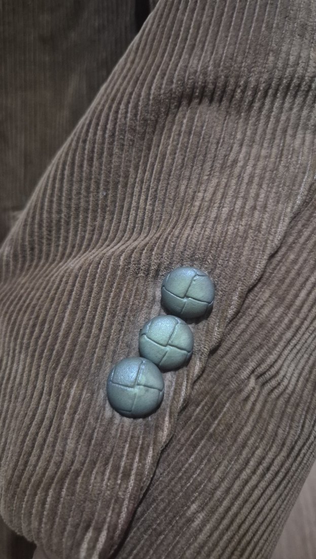 Erkek Ceket - Görsel 2