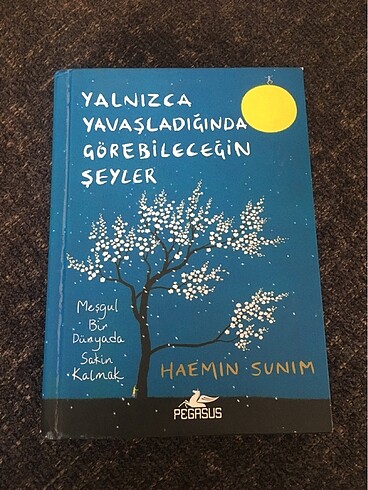 Haemın sunım yalnızca yavaşladığında görebileceğin şeyler