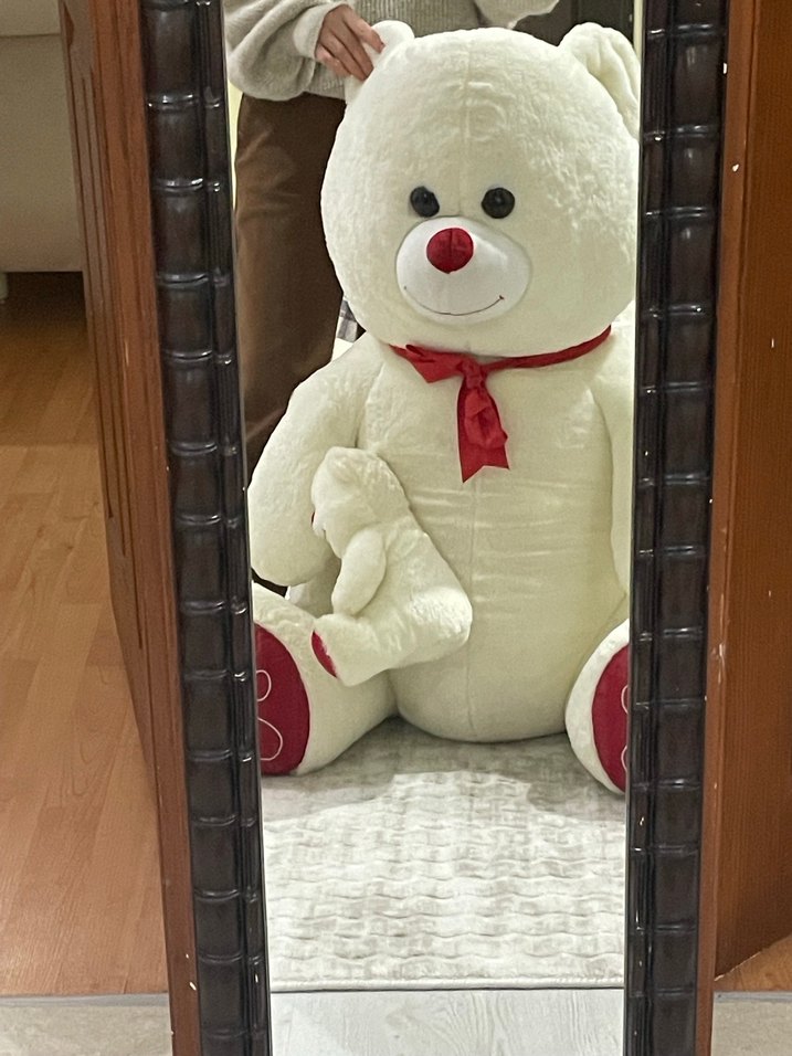 Beyaz Peluş Ayı ve Kalp Yastık - Görsel 4