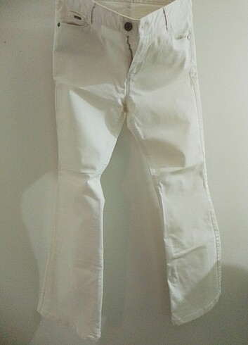 Kot pantolon
