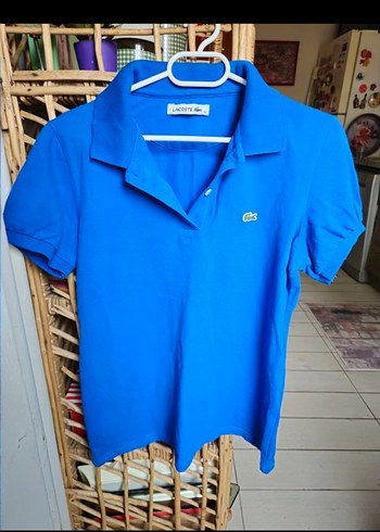 xl Beden Lacoste mavi tshirt