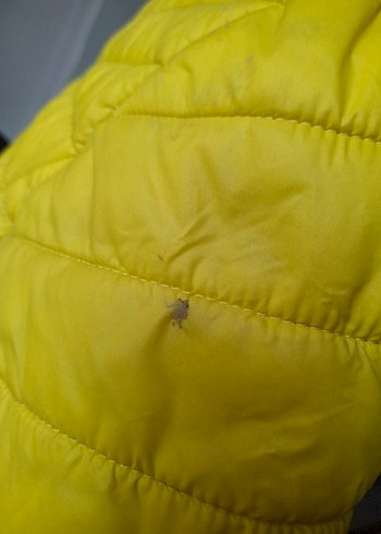 Sarı Slimfit Mont - Görsel 3