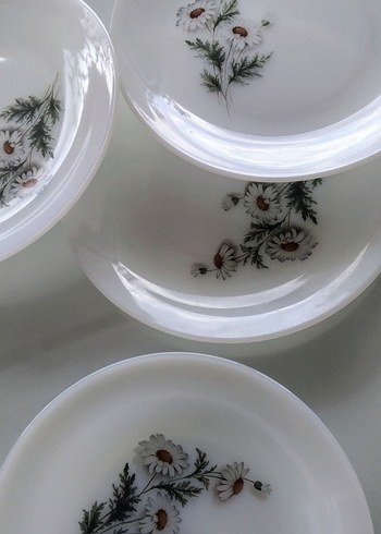 Beden beyaz Renk Vintage france arcopal tabak