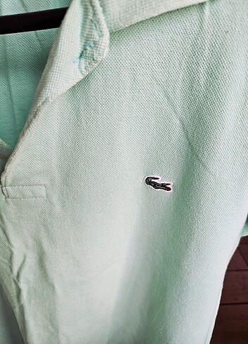 Lacoste Lacoste tshirt