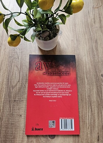 Ay batarken - Görsel 4