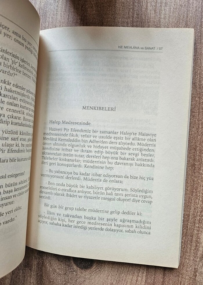 Hz mevlana ve sanat - Görsel 3