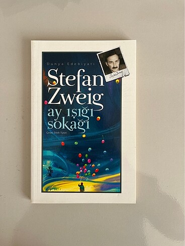 Stefan zweig ay ışığı sokağı
