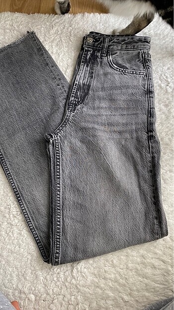 zara jean
