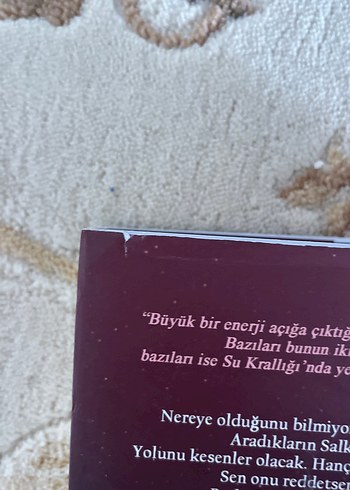 Lordlar ve Varisler - N.G. Kabal