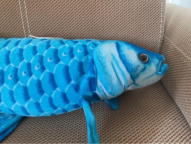 Peluş oyuncak