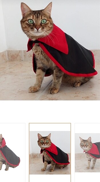 Kedi Kostümü