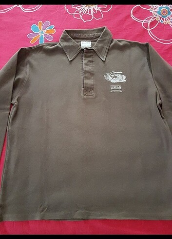 m Beden Polo yaka sweet