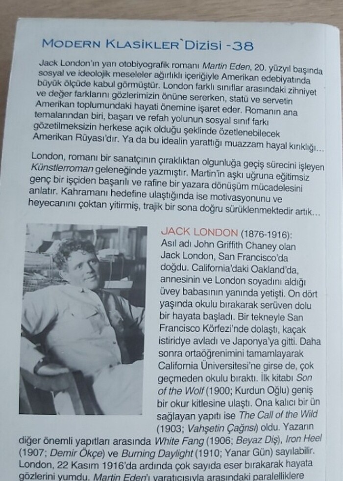 Martin Eden - Görsel 2