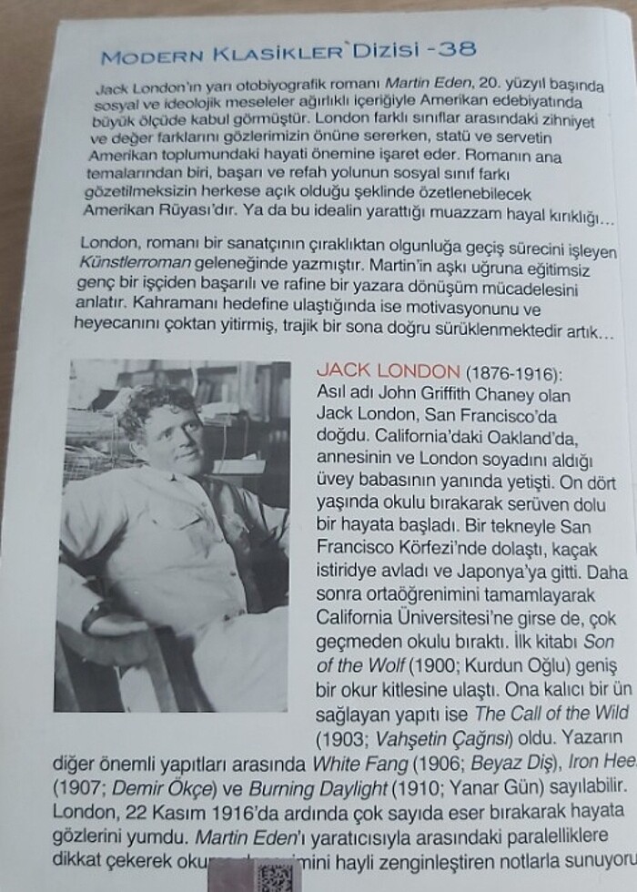 Martin Eden - Görsel 3