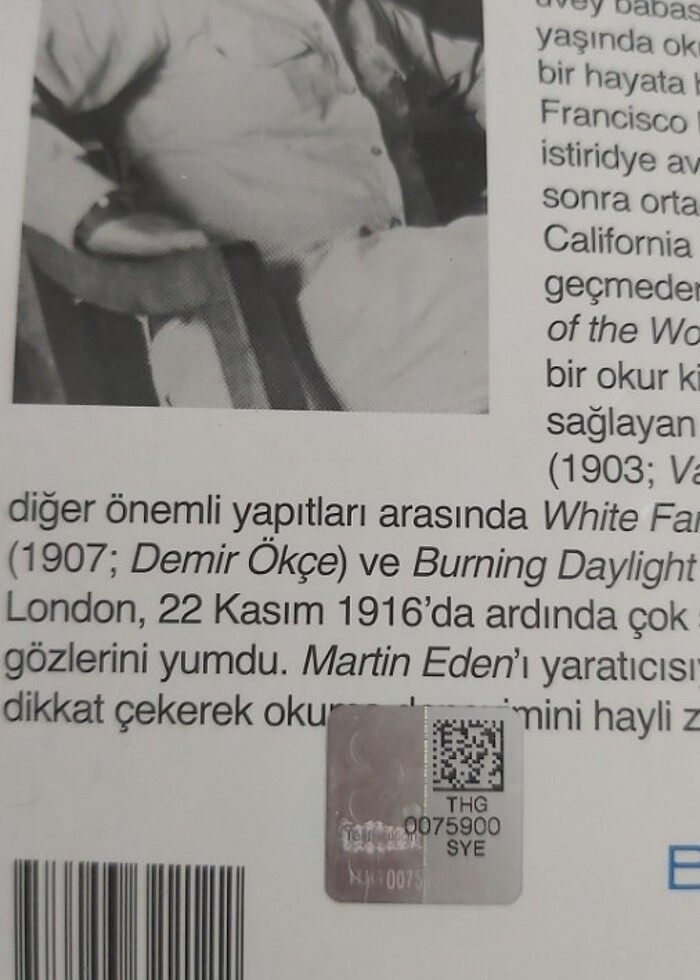 Martin Eden - Görsel 4