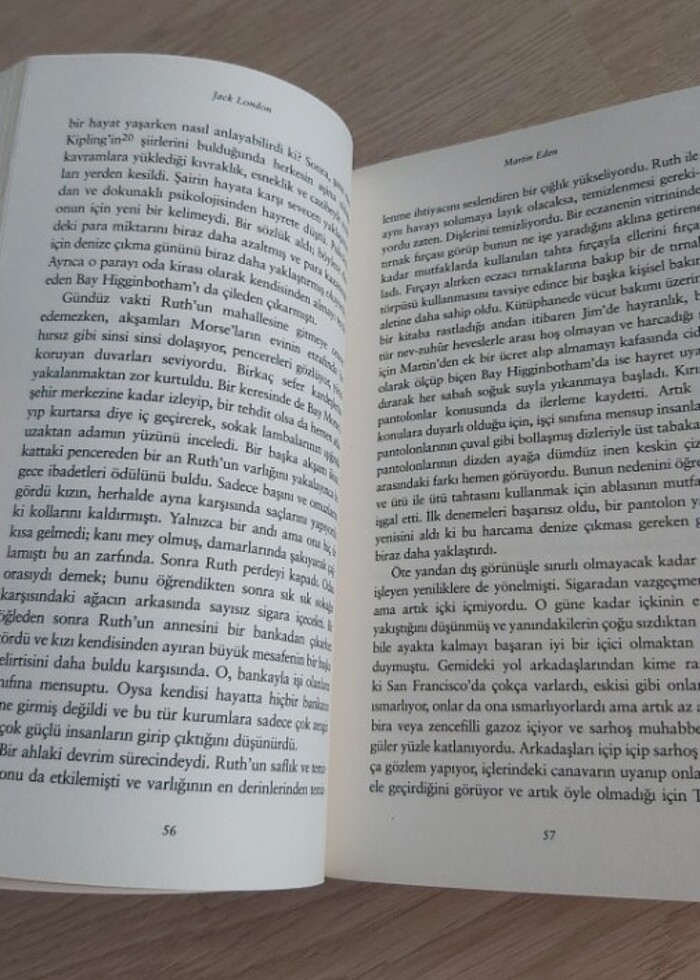 Martin Eden - Görsel 5