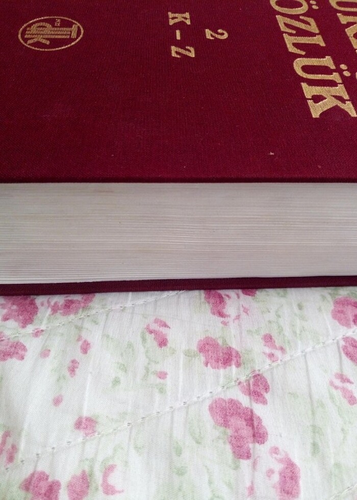 Türk Dil Kurumu Türkçe Sözlük - Görsel 5