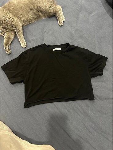 Pull&Bear Crop