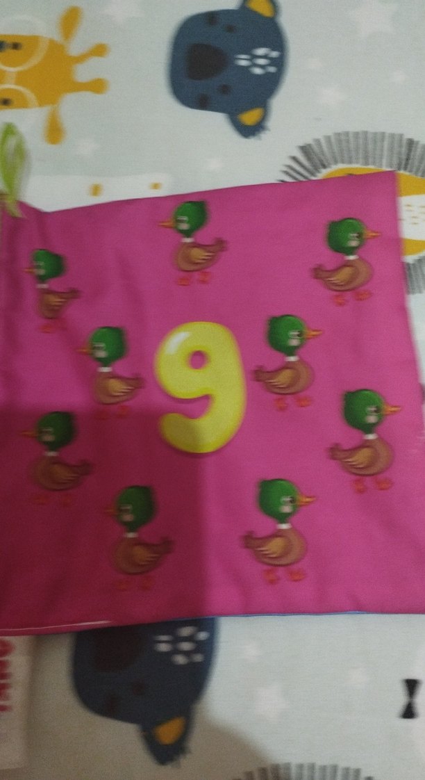 İlk Kitabım Sayılar bebek ve çocuk Kitabı - Görsel 5