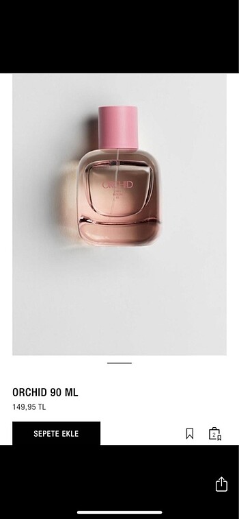 Zara orchid