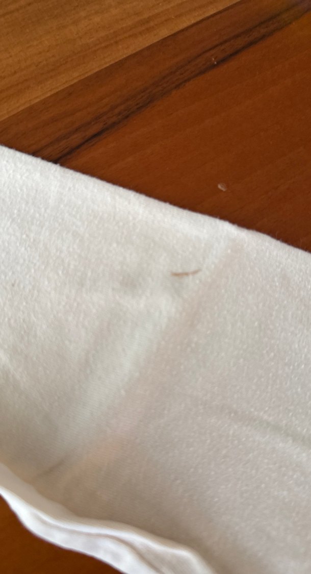 Kız Çocuk Bej Uzun Kollu Baskılı Tişört - Görsel 4