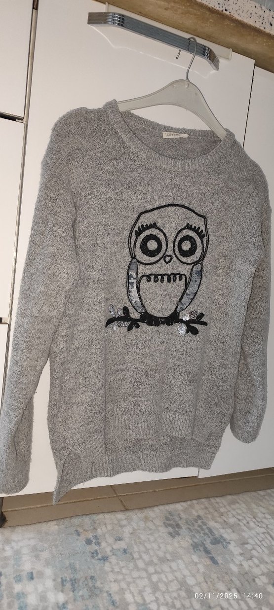 Gri Örme Baykuş Desenli Kadın Kazak - Görsel 2