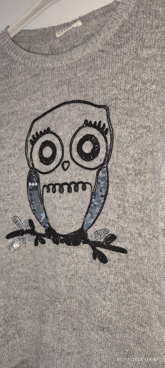 Gri Örme Baykuş Desenli Kadın Kazak - Görsel 3