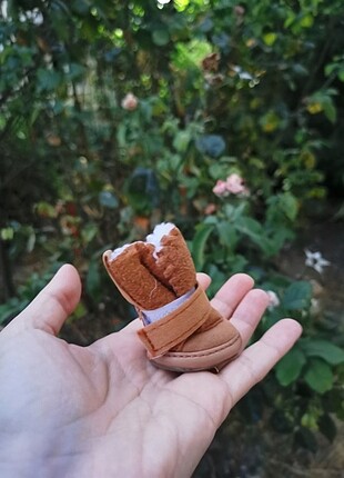 Köpek ayakkabı