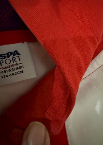 Renkli Kapüşonlu Erkek Sweatshirt - Görsel 3