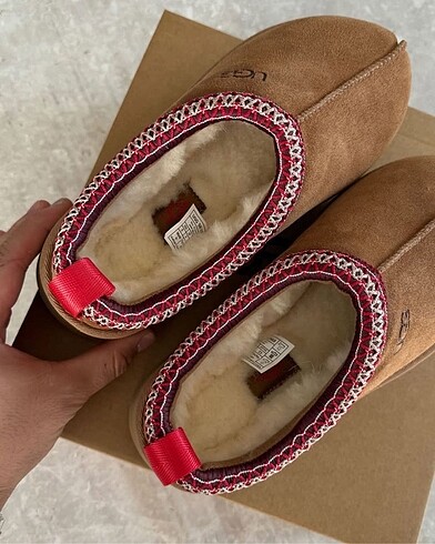 Ugg tazz