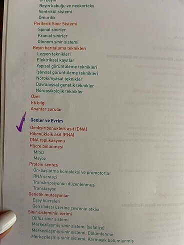 Beden Renk Temel Biyolojik Psikoloji
