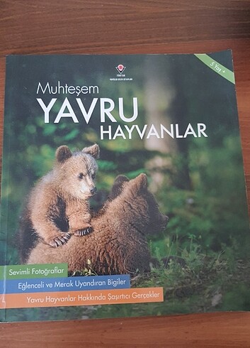  Cocuk kitabi