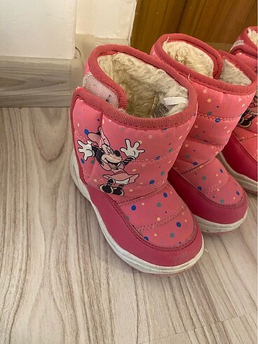 Disney kar botu
