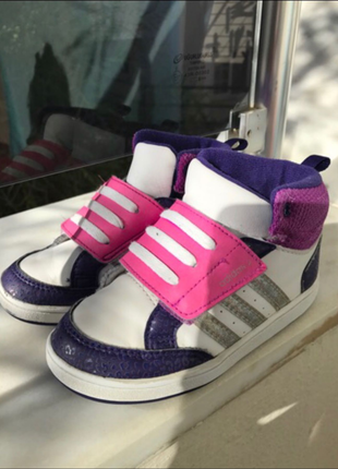 Adidas Adidas Neo 26 Numara