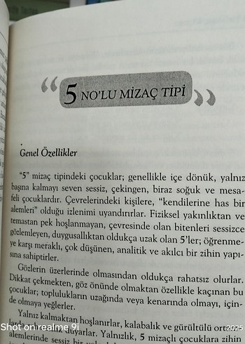  Beden Renk Çocuklarda 9 Tip Mizaç Modeli Kitabı