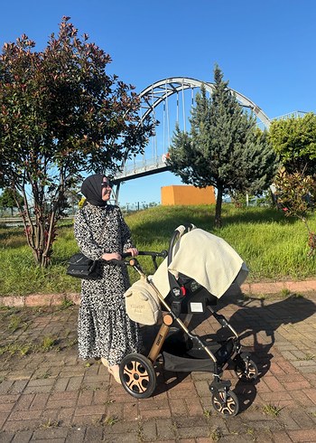 Siyah Bebek Arabası - Görsel 2