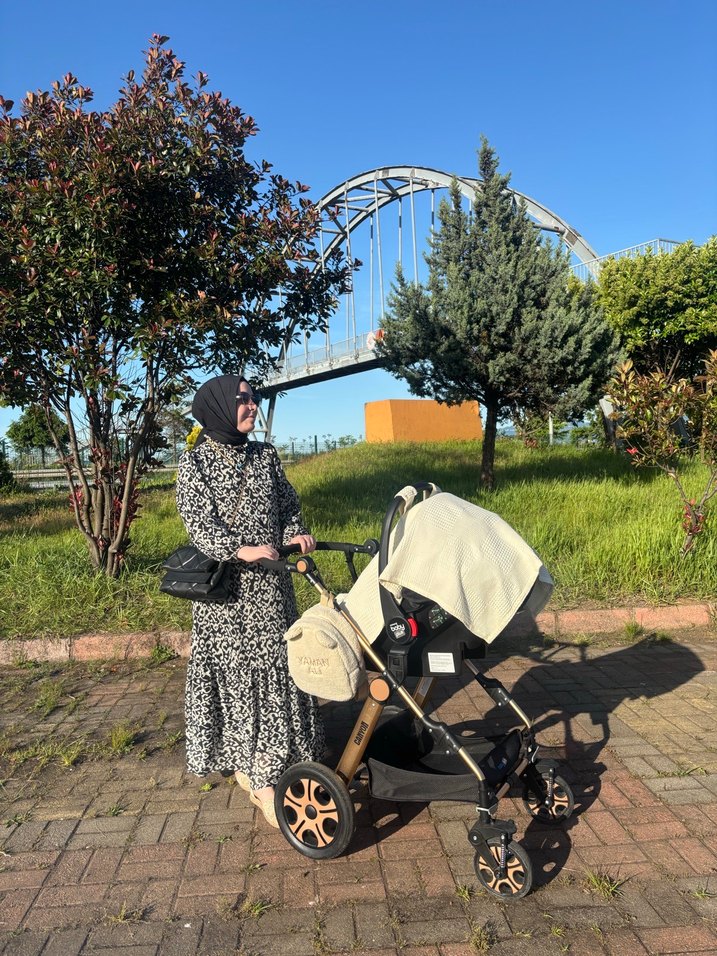 Siyah Bebek Arabası - Görsel 2