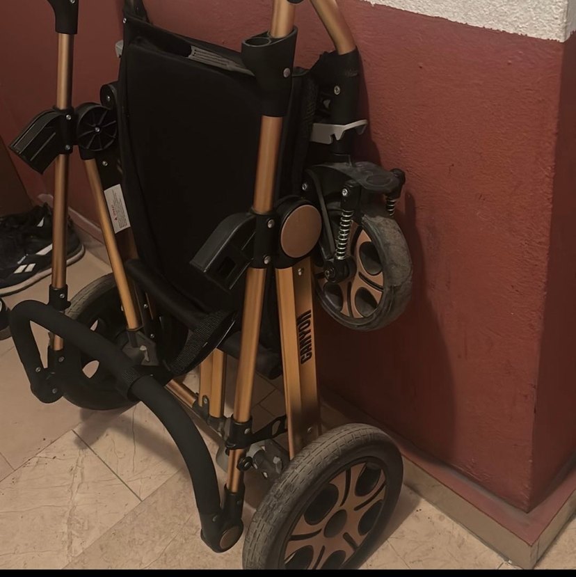 Siyah Bebek Arabası - Görsel 3