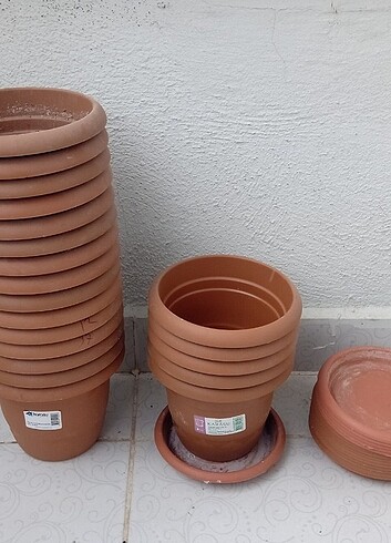 Saksı