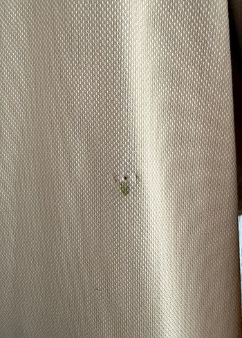 Kayra pardesü - Görsel 5