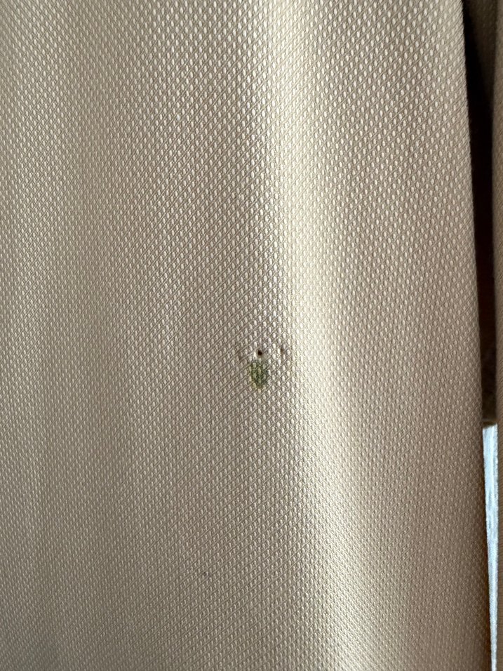 Kayra pardesü - Görsel 5