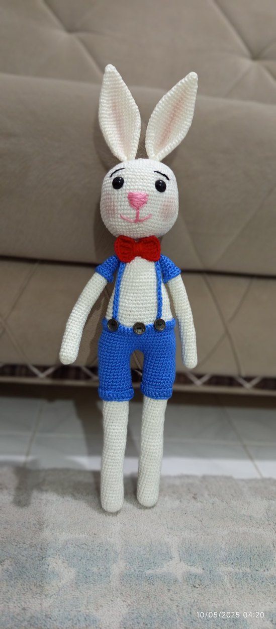 uzun bacaklı tavşan Bonny - Görsel 4