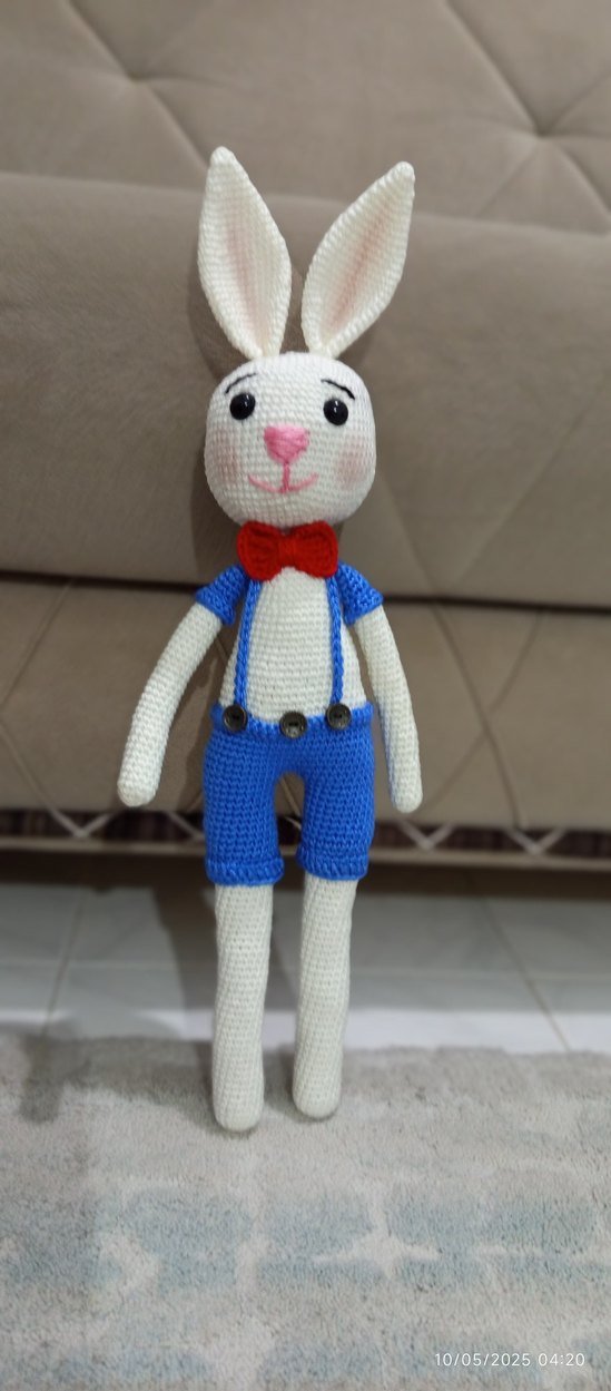 uzun bacaklı tavşan Bonny - Görsel 2