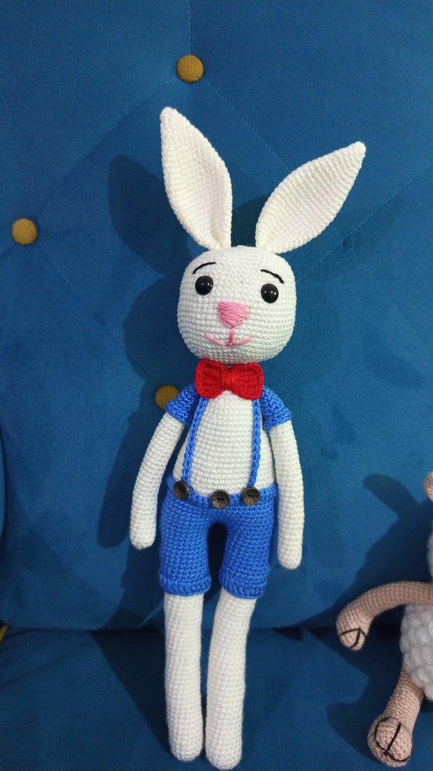 uzun bacaklı tavşan Bonny - Görsel 5