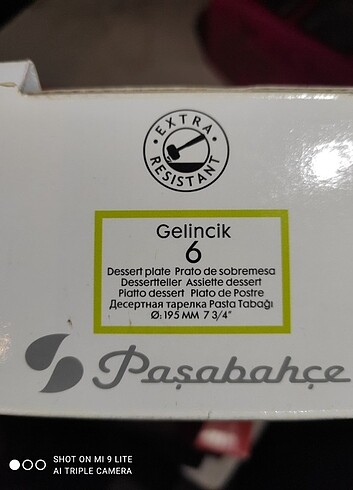 Paşabahçe Apsta tabagi